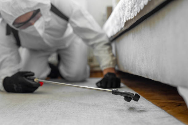 Professional Termite Control technician working in Biggs, CA