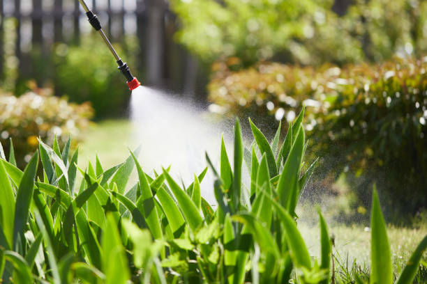24/7 Emergency Termite Control experts in Biggs, CA
